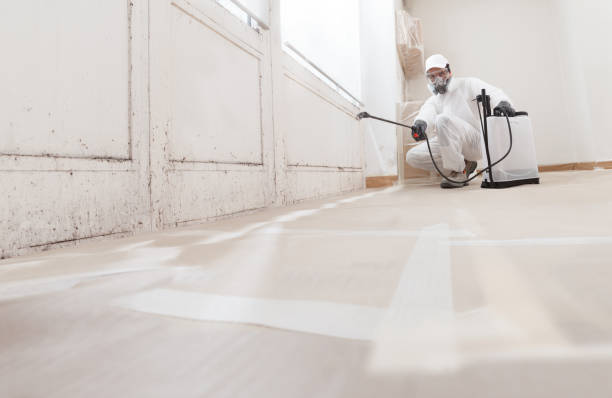 24/7 Emergency Mold Remediation experts in Clifton, VA
