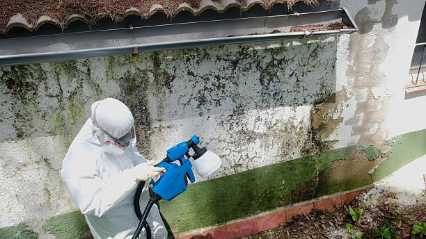 Top rated local Mold Remediation specialists in Clifton, VA